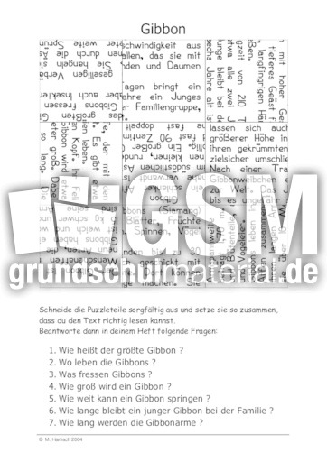 Gibbon.pdf